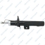 GSP Amort 32306251