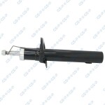 GSP Amort 32306252