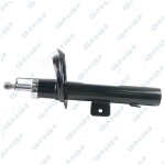 GSP Amort 32306261