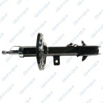 GSP Amort 32306301