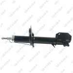 GSP Amort 32306322
