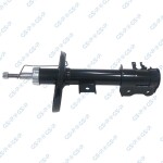 GSP Amort 32306382