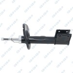 GSP Amort 32306392