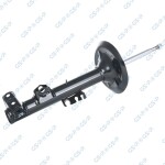 GSP Amort 32306492