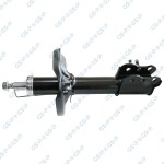 GSP Amort 32306741