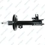 GSP Amort 32307371