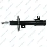 GSP Amort 32307372