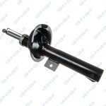 GSP Amort 32307401