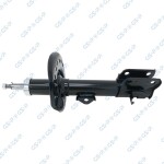 GSP Amort 32307481