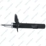 GSP Amort 32307622