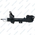 GSP Amort 32307661