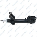 GSP Amort 32307662