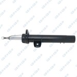 GSP Amort 32307671