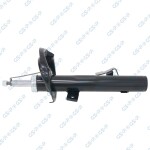 GSP Amort 32307781