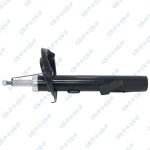 GSP Amort 32307782