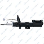 GSP Amort 32317010