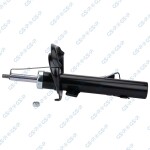 GSP Amort 32320021
