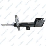 GSP Amort 32348671