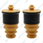 GSP Tolmukaitse komplekt, Amordid 5405020PK