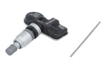 tpms Указатель programmeeritud hamaton