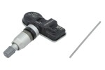 tpms andur programmeeritud hamaton