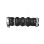 HART turbo voolik (laadimisõhu) 274 295