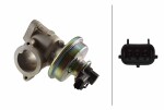 HELLA EGR-klapp 6NU 010 171-041