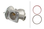 HELLA EGR-klapp 6NU 010 171-691