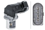 HELLA  EGR-klapp 6NU 014 864-651
