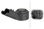 HELLA Detonatsiooniandur 12V 6PG 013 114-411