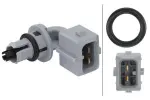 HELLA Andur,  sisendõhu temperatuur 6PT 009 109-221