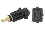 HELLA Andur,  Jahutusvedeliku temp. 12V 6PT 009 309-541