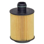 HENGST FILTER  Õlifilter E124H02 D202