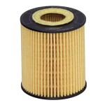 HENGST FILTER Õlifilter E20H01 D293