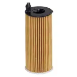 HENGST FILTER  Õlifilter E362H D313