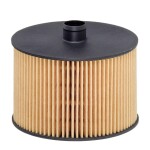 HENGST FILTER Kütusefilter E79KP D118