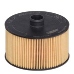 HENGST FILTER  Õlifilter E823H D263
