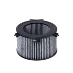 HENGST FILTER  Фильтр, воздух во внутренном пространстве E922LC