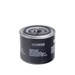 HENGST FILTER Õlifilter H10W09