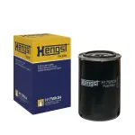 HENGST FILTER  Kütusefilter H17WK04