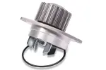 HEPU Veepump,  mootori jahutus P812