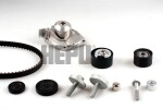 HEPU Veepump + hammasrihmakomplekt PK09550
