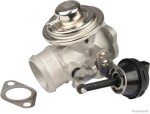 HERTH+BUSS ELPARTS EGR-klapp 70671019