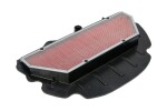 Õhufilter HIFLO - HONDA CBR954 02-03