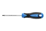 Kruvikeeraja TORX T10 100mm