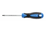 Kruvikeeraja TORX T15, 100mm