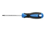 Kruvikeeraja TORX T30 100mm