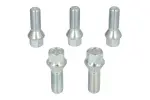 komplekt paigaldus (OE/Fix; B C17F30 60° koonus M14x1,25 L30; 1 kit / 1 velg - 5 auku)