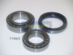 JAPANPARTS Rattalaagrikomplekt KK-11003