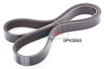 JAPKO Soonrihm 5PK865